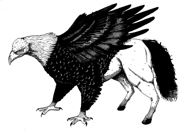 Hippogryph - Wall Art Print