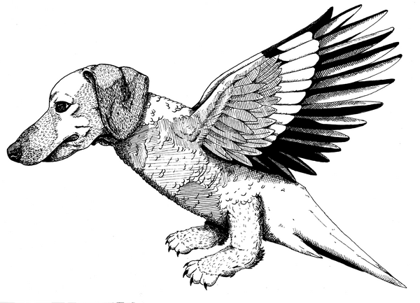 Simurgh - Wall Art Print