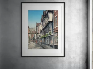 The York Fusion Collection